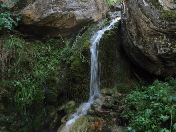 �elale0