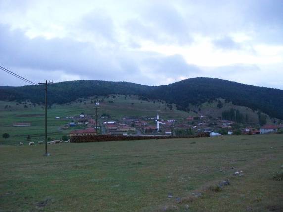 Genel g�r�n�m0